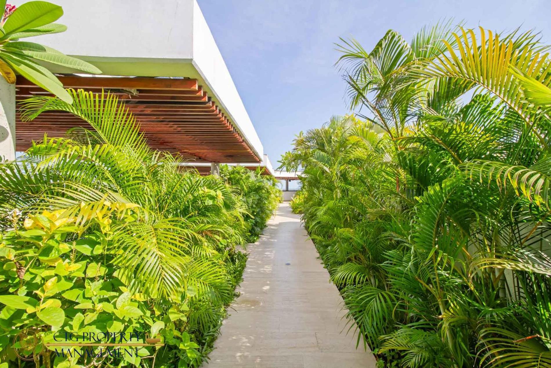 Martinique Cartagena - Apartamentos A Corta Caminata De Playa Azul Экстерьер фото